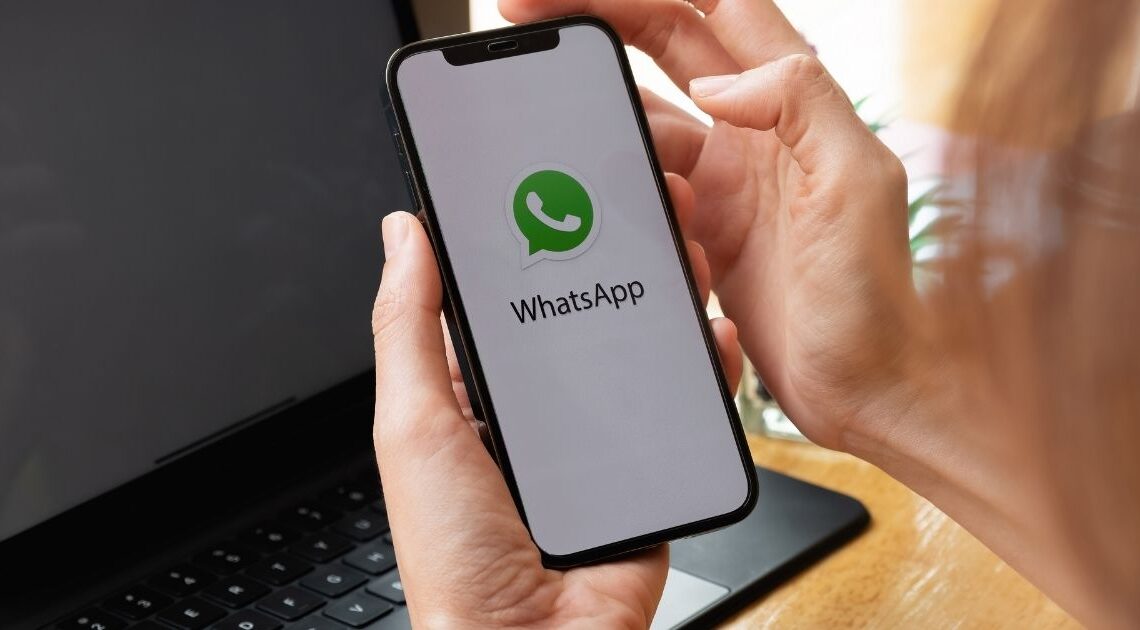 Whatsapp: Como recuperar Conversas e Mídias Apagadas no celular Whatsapp: Como recuperar Conversas e Mídias Apagadas no celular